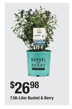 The Home Depot 7.56-Liter Bushel & Berry offer