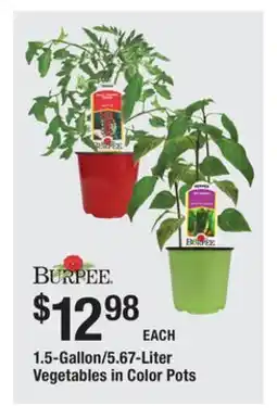 The Home Depot Vegetables in Color Pots offer
