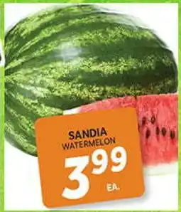 El Paso Grande SANDIA WATERMELON offer