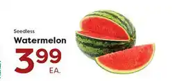 Rich's Fresh Market Seedless Watermelon offer