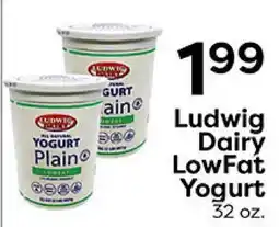 Rich's Fresh Market Ludwig Dairy LowFat Yogurt offer