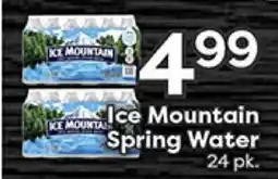 Rich's Fresh Market Ice Mountain Spring Water offer