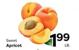 Rich's Fresh Market Sweet Apricot offer
