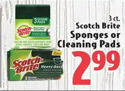 Eurofresh Market Scotch Brite Sponges or Cleaning Pads offer
