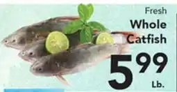 Eurofresh Market Fresh Whole Catfish offer