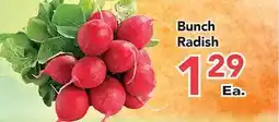 Eurofresh Market Bunch Radish offer
