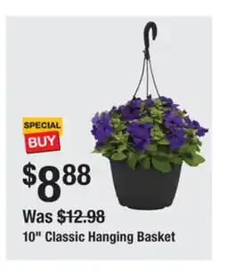 The Home Depot 10 Classic Hanging Basket offer