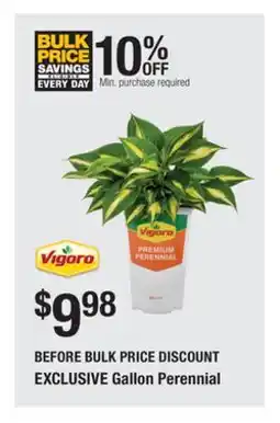 The Home Depot VIGORO BEFORE BULK PRICE DISCOUNT EXCLUSIVE Gallon Perennial offer