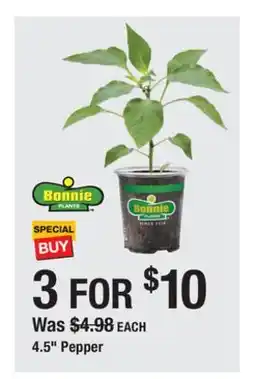 The Home Depot 4.5 Pepper offer
