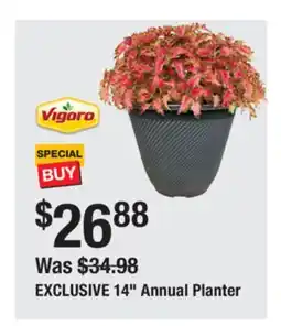 The Home Depot Vigoro 14 Annual Planter offer