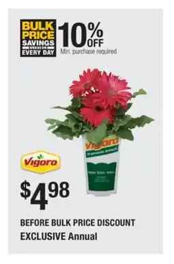 The Home Depot VIGORA Annual offer