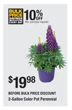The Home Depot 2-Gallon Color Pot Perennial offer