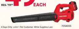 Ace Hardware CRAFTSMAN TRIMMER OR BLOWER offer