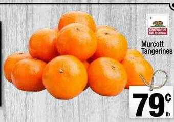 Super King Markets Murcott Tangerines offer