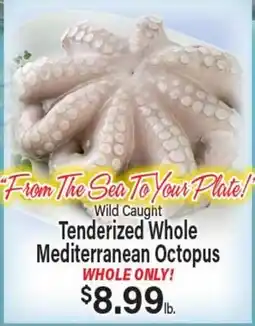 Angelo Caputo's Fresh Market Wild Caught Tenderized Whole Mediterranean Octopus offer