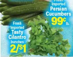 Angelo Caputo's Fresh Market Fresh Imported Tasty Cilantro bunches, Fresh Imported Persian Cucumbers offer
