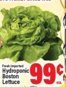 Angelo Caputo's Fresh Market Fresh Imported Hydroponic Boston Lettuce offer