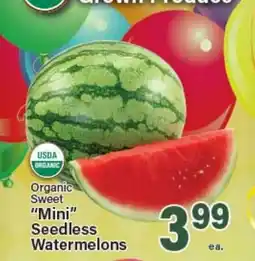 Angelo Caputo's Fresh Market Organic Sweet Mini Seedless Watermelons offer