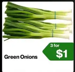 Market Place on Oakton Green Onions offer