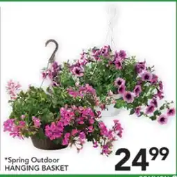 Pete's Fresh Market Spring Outdoor HANGING BASKET offer