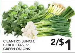 Pete's Fresh Market CILANTRO BUNCH, CEBOLLITAS, or GREEN ONIONS offer