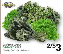 Pete's Fresh Market California Grown ORGANIC KALE offer
