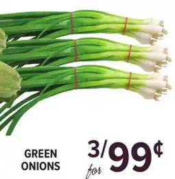 Cermak Fresh Market GREEN ONIONS offer