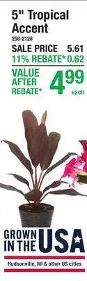 Menards 5 Tropical Accent offer