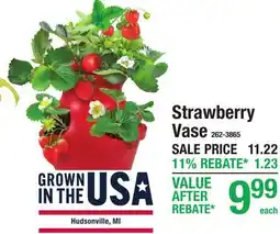 Menards Strawberry Vase offer