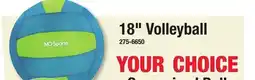 Menards 18 Volleyball offer