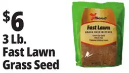 Ocean State Job Lot X-Seed Fast Lawn Grass Seed Mixture 3 lbs offer