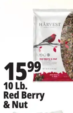 Ocean State Job Lot Harvest Seed & Supply Red Berry & Nut Wild Bird Food 10 lb offer