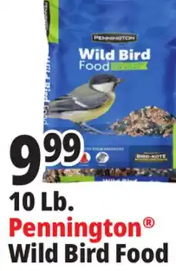 Ocean State Job Lot Pennington Wild Bird Food 10 lbs offer