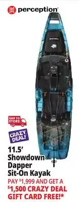 Ocean State Job Lot Perception Showdown 11.5 Fishing Pedal Kayak Dapper offer