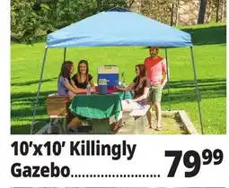 Ocean State Job Lot Killingly 10'x10' One-Touch Pop-Up Gazebo offer
