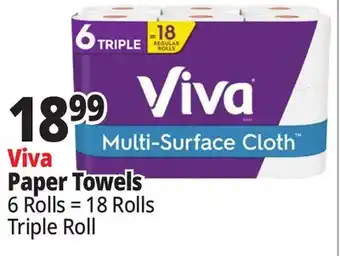 Ocean State Job Lot Viva Paper Towels offer