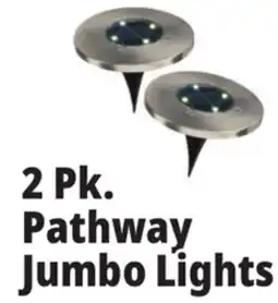 Ocean State Job Lot 2 Pk. Pathway Jumbo Lights offer