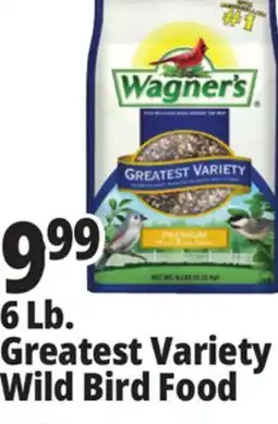Ocean State Job Lot Wagner's Greatest Variety Deluxe Wild Bird Food 6 lbs offer