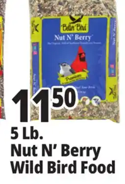 Ocean State Job Lot Better Bird Premium Nut N' Berry Bird Food 5 lbs offer