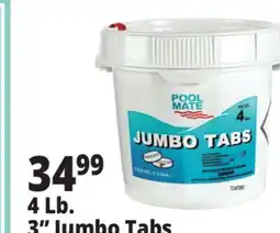 Ocean State Job Lot Pool Mate 3 Jumbo Chlorine Tabs 4 lbs offer