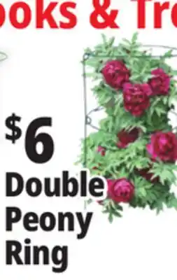 Ocean State Job Lot Peony Double Ring Plant Support 18 x 36 offer