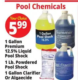 Ocean State Job Lot 1 Gallon Premium 12.5% Liquid Pool Shock 1 Lb. Powdered Pool Shock 1 Gallon Clarifier Or Algaecide offer