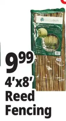 Ocean State Job Lot 4'x8' Reed Fencing offer