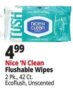 Ocean State Job Lot Nice'n Clean Flushable Wipes 42 ct offer