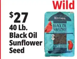 Ocean State Job Lot Black Oil Sunflower Seeds 40 lbs offer