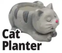 Ocean State Job Lot Cat Planter offer