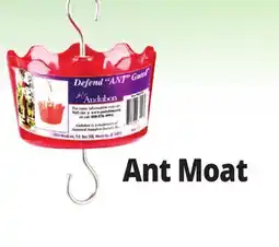 Ocean State Job Lot Ant Moat offer