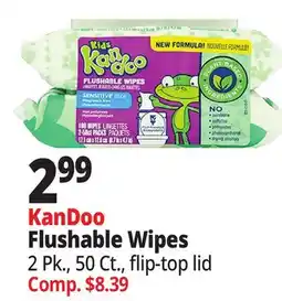 Ocean State Job Lot KanDoo Flushable Wipes offer