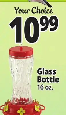 Ocean State Job Lot Glass Bottle offer