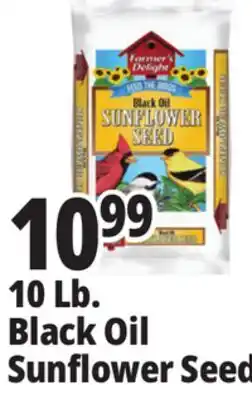Ocean State Job Lot 10 Lb. Black Oil Sunflower Seed offer